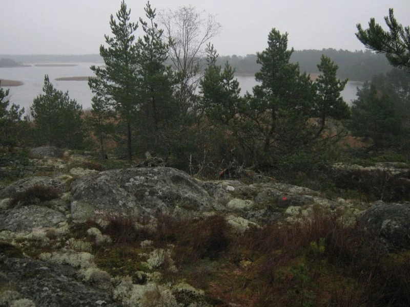 [Image: _img900.jpg]